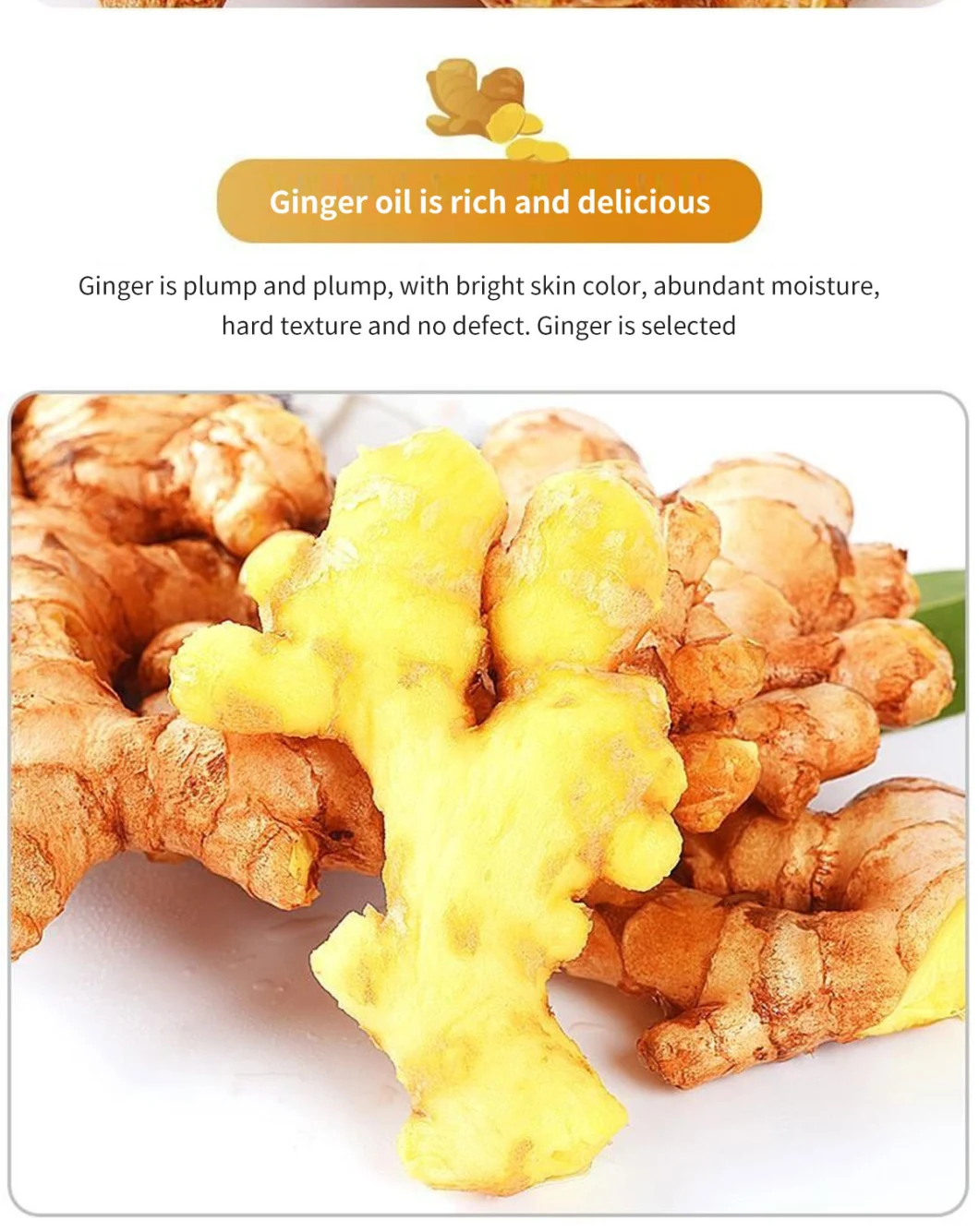 Ginger High Quality Dried Ginger New Crop Wholesale Cheap Price Carton Trade Assurance Dried Ginger Organic Ginger Sliced Pickled Ginger