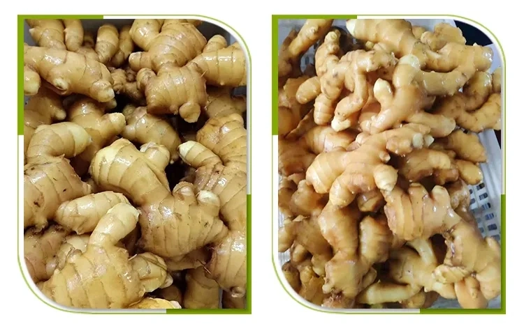 100% Organic Ginger Extract Powder Brand Mekong Herbals Origin China