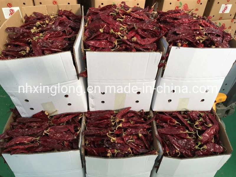 Chinese Chilli Factory/Yidu Chilli/Sweet Paprika Chilli/Dried Jinta Chili/Puya Chili/Mexico Guajillo Chili