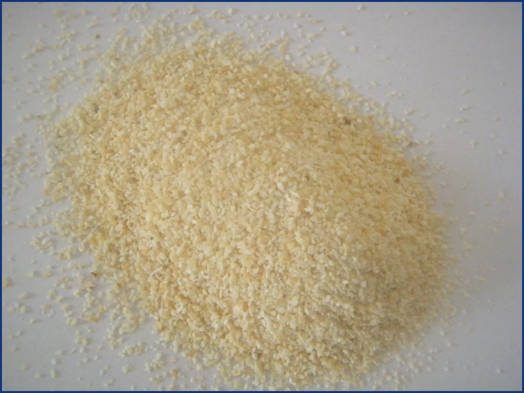 Wholesale China Best Quality EU Standard Dehydrated Garlic Granule