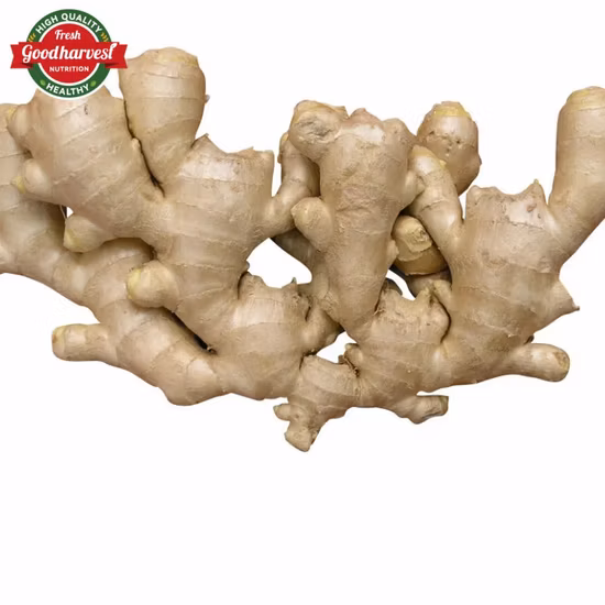 Wholesale Organic 100% Natural High Quality Pure Fresh Ginger Cheap Price High Quality Organic Ginger Fresh Ginger Conventional Ginger