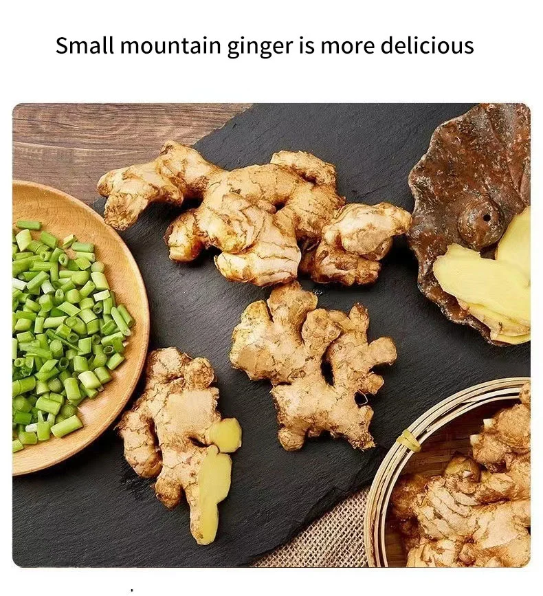 Fresh Dried Semi Dry or Full Dry Ginger Pickled Ginger Fresh Ginger Fresh Food Ginger Fresh Vegetable Conventional Ginger From China