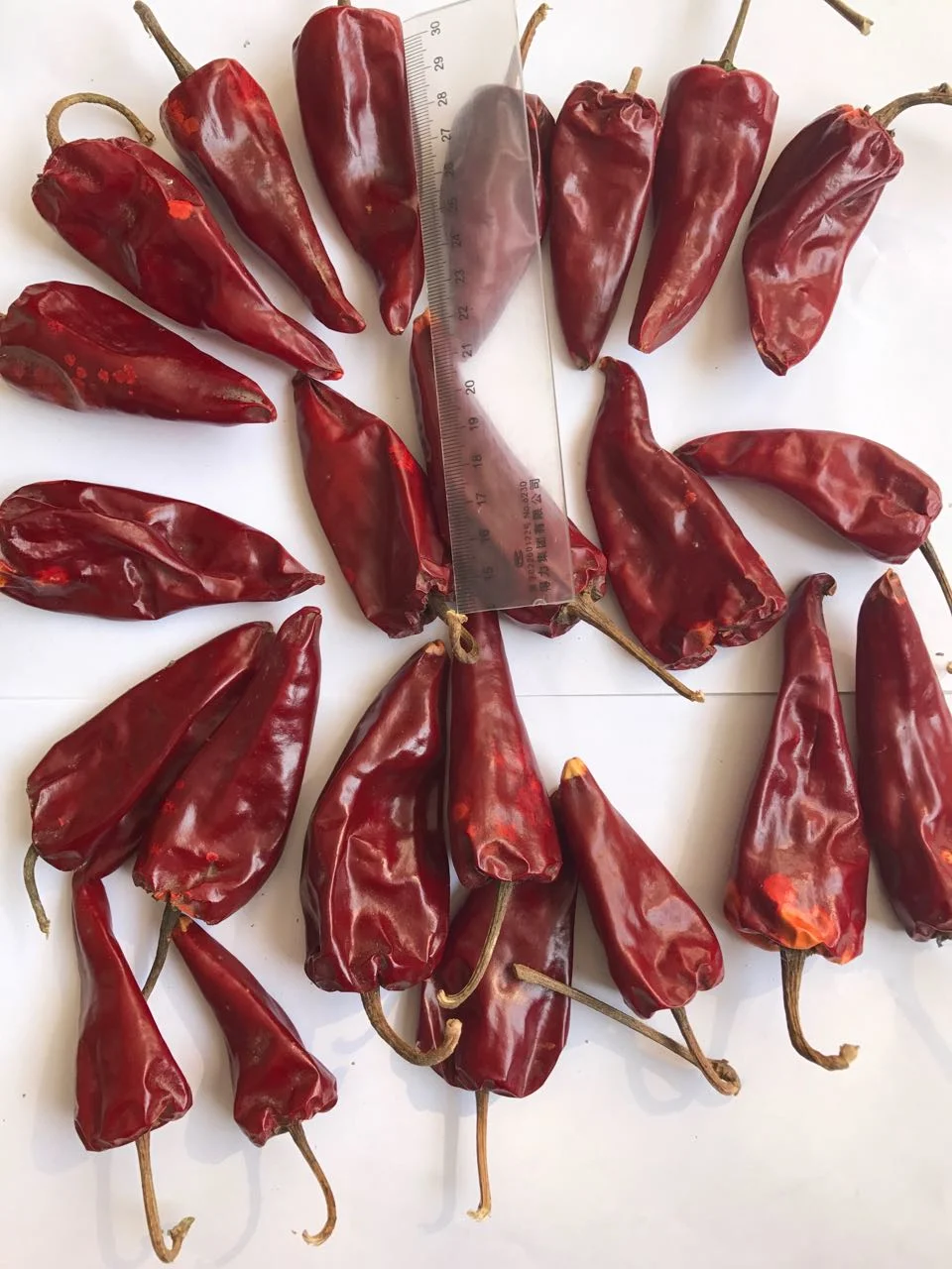 Supplier Whole Natural Yidu Dried Chillies Dried Chili Pepper