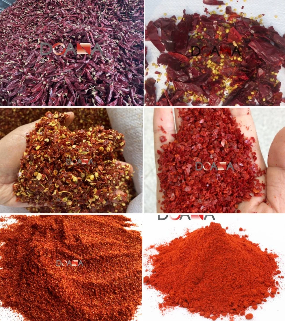 Chinese Hot Sale Paprika Powder Dried Red Chili Pepper