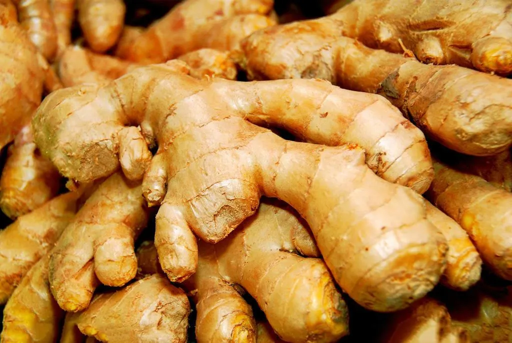 Organic Powder 100% Pure Ginger Root Extract Ginger Powder for Ginger Juice