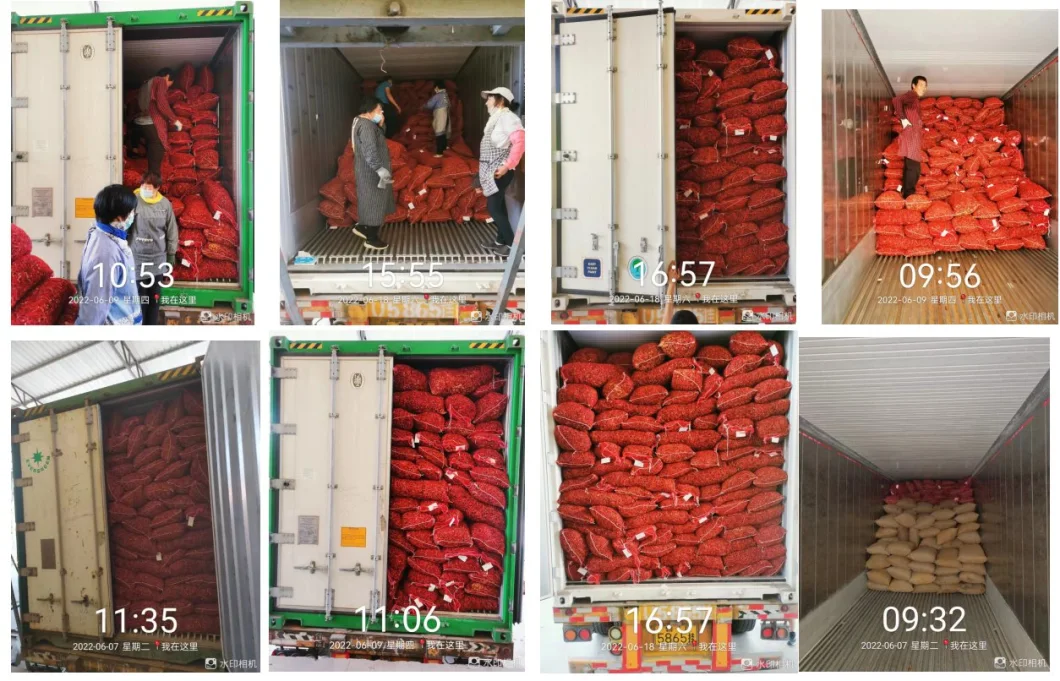 China Paprika Chilli Factory Supply Dried Chili Peppers