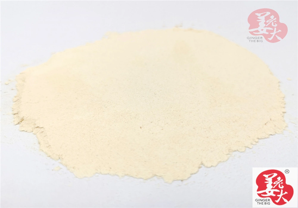 Grade A White Dehydrated Onion Powder