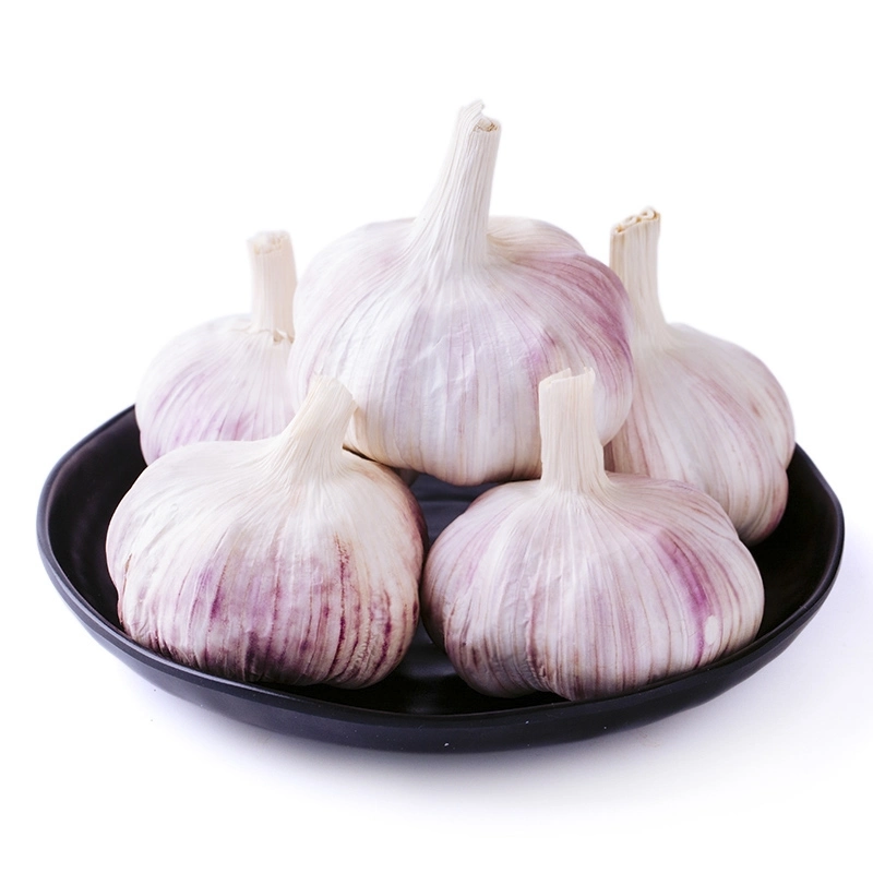 China/Chinese Best Fresh Natural Garlic Price - New Crop, Hot Sales/Dehydrated Garlic /Frozen Garlic /Fried Garlic