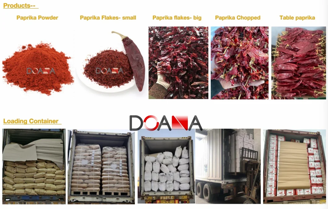 Chinese Origin 60mesh 20000shu Dried Red Hot Chilli Powder