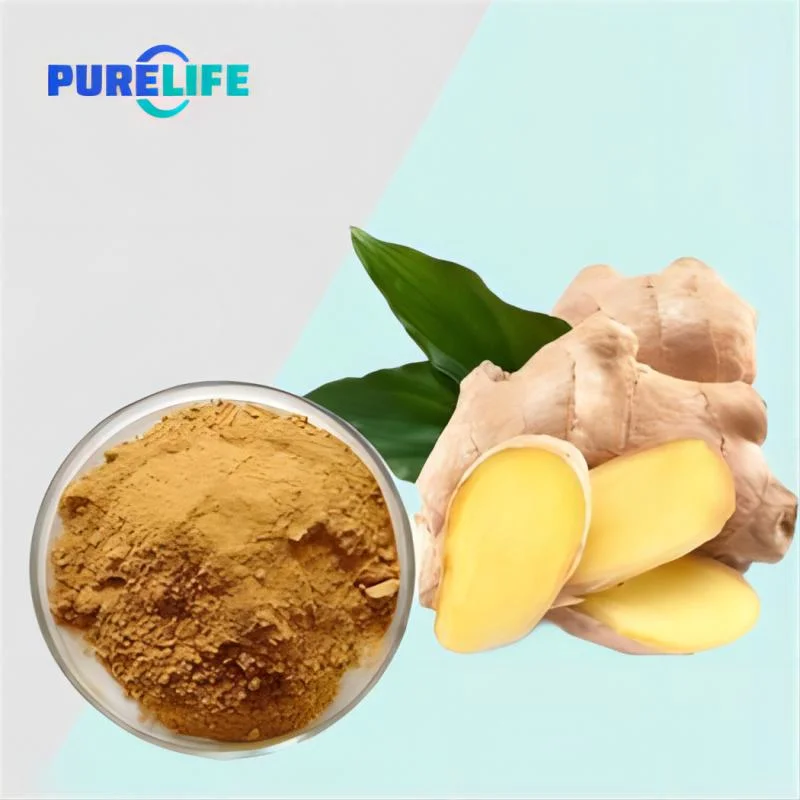 Natural Herbal Plant Extract Dehydrated Organic Vegetable Ginger Root Extract Powder