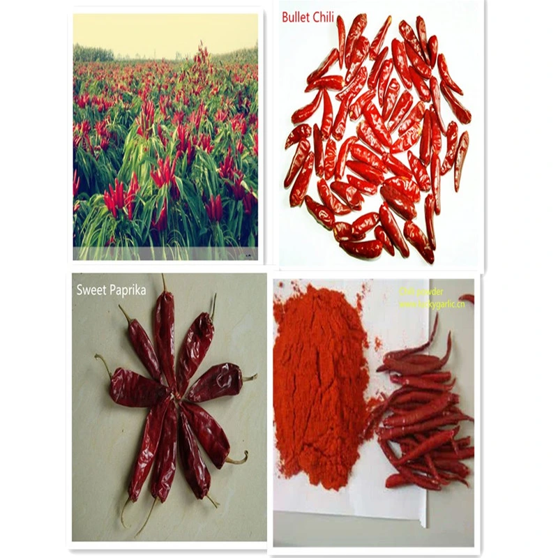 Air-Dried Chaotian Chili