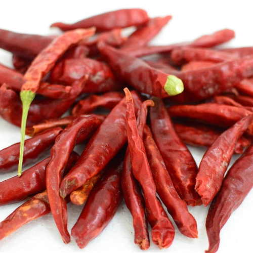 Commerce de gros Hot Chili Pepper Poivre de Cayenne avec des prix bon marché