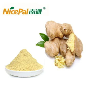 Ginger Extract Manufacturer Supply Good Price Fresh Dry Dry Pure Ginger Root Extract Gingerol Powder