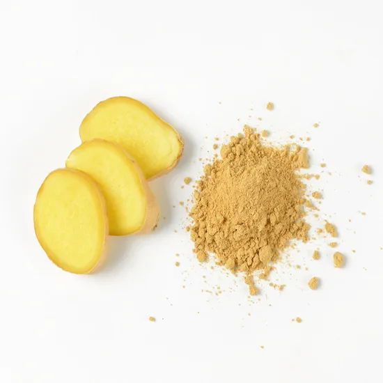 Poudre d'extrait de gingembre soluble dans l'eau d'alimentation en usine