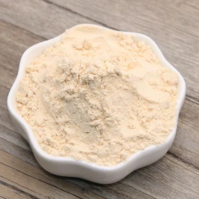 Condiment alimentaire assaisonnant poudre de granules d'ail blanc séché déshydraté naturel