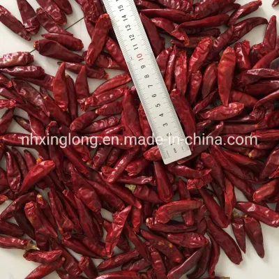 Piment fort séché de 5 lb 10000 Poivre de Cayenne séché Scoville 12% d'humidité