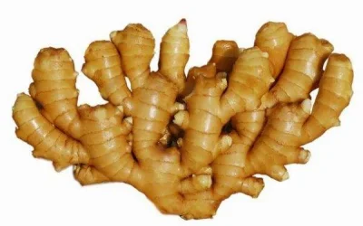 Nouvelle récolte de gingembre frais de gingembre séché biologique de haute qualité en provenance de Chine