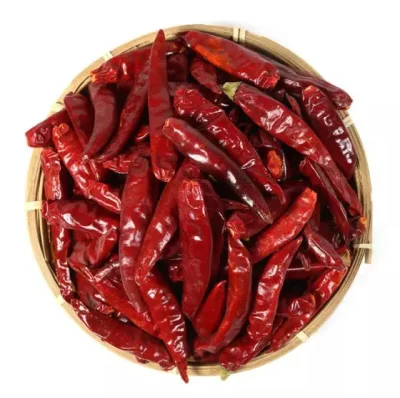 Chili Diverses épices simples de bonne qualité Piment rouge séché