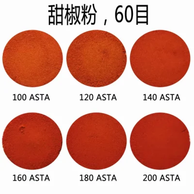 Poudre de paprika séchée de Chine, poudre de piment, 80-220 Asta