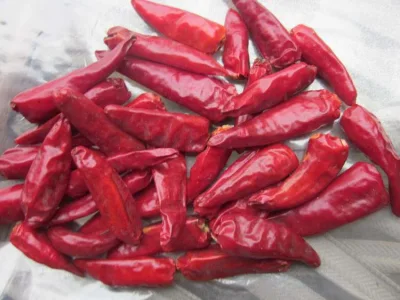 Piment Chaotien sec chinois / Bullet Chili Cayenne Pepper