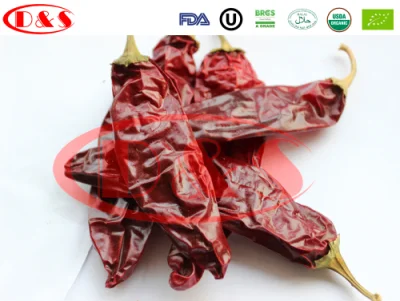 Chine Paprika Piment Usine Approvisionnement Piments Séchés