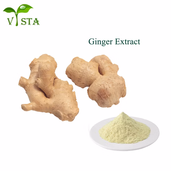 Poudre d'extrait de racine de gingembre Gingerols d'approvisionnement d'usine 5%