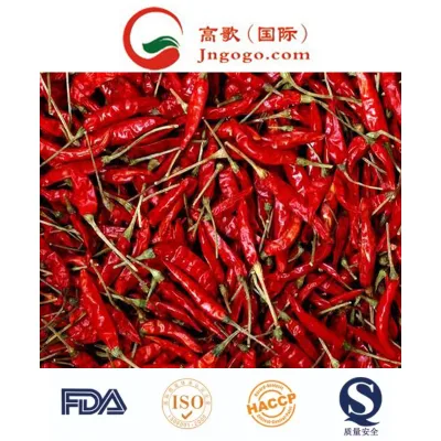 Piment Yidu rouge séché en gros de haute qualité faible MOQ nouvelle récolte